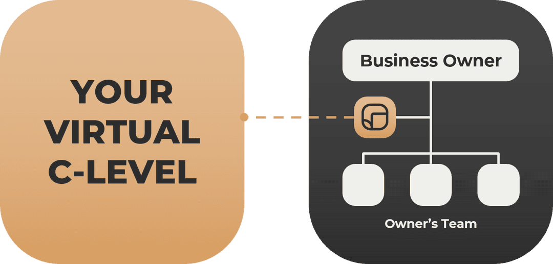 Virtual C-Level