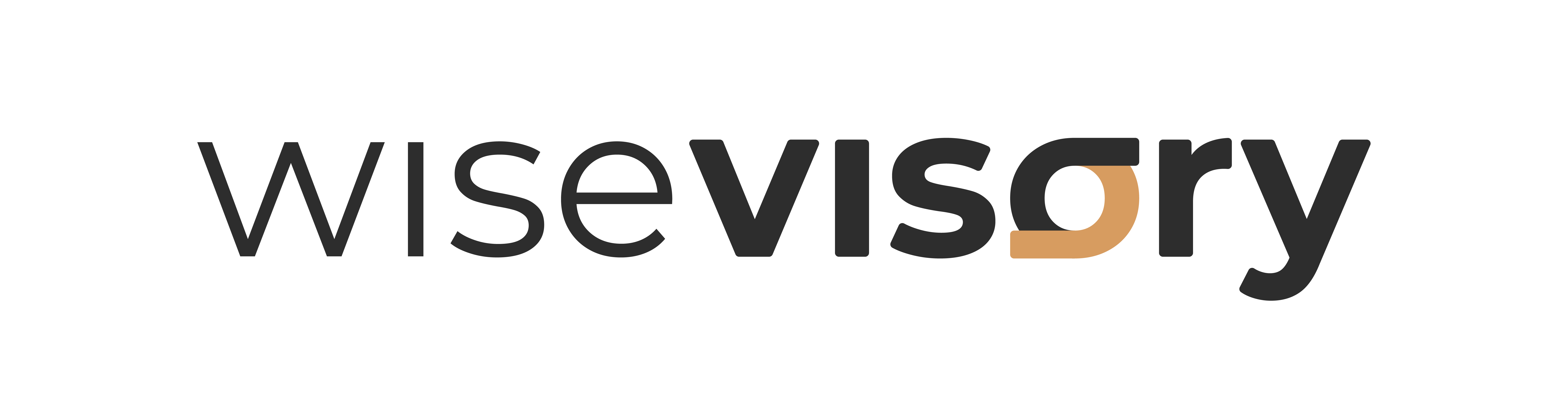 wisevisory logo